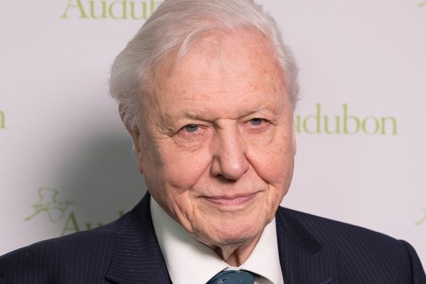 The positive effect of David Attenborough’s documentaries
