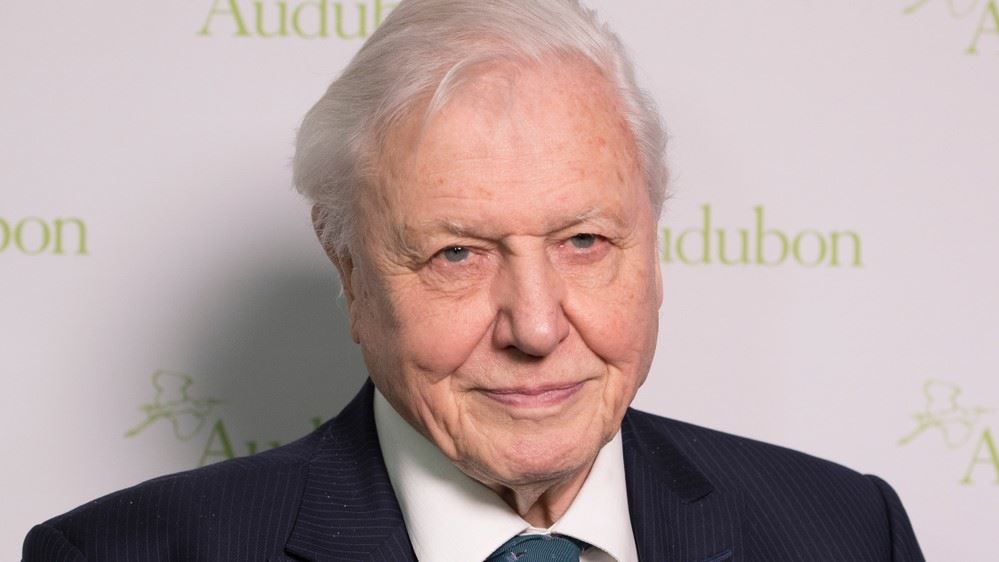 The positive effect of David Attenborough’s documentaries