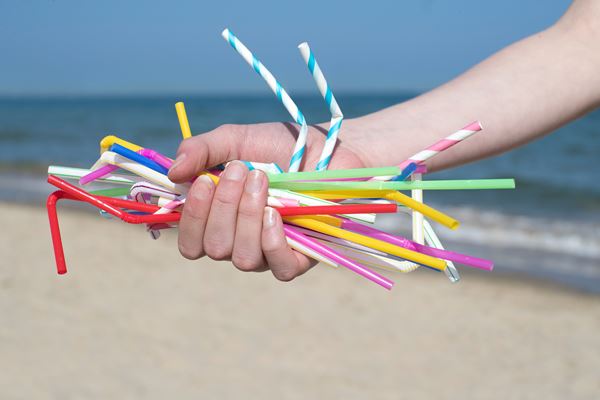 Straw market keeps growing